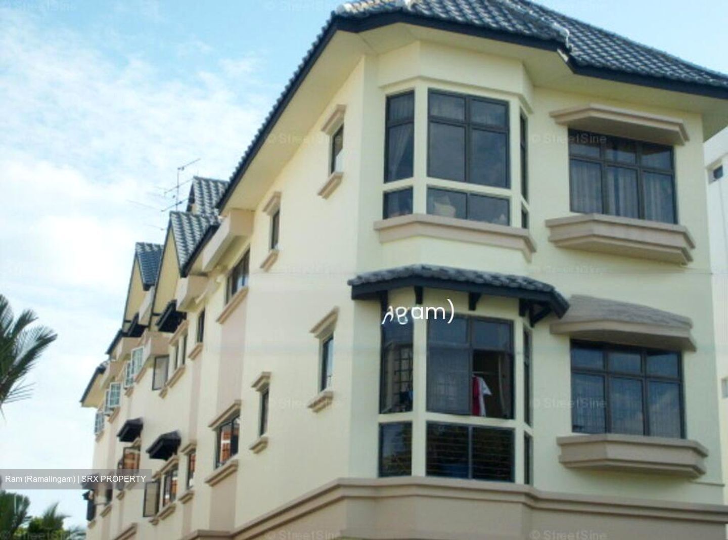 Telok Kurau Mansion (D15), Apartment #428837091